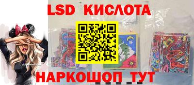 индика Рыбинск