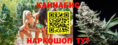 PSILOCYBIN Севастополь