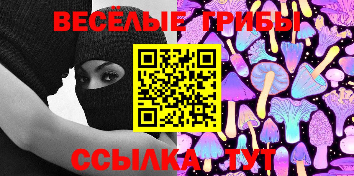Псилоцибиновые грибы Cubensis Чита